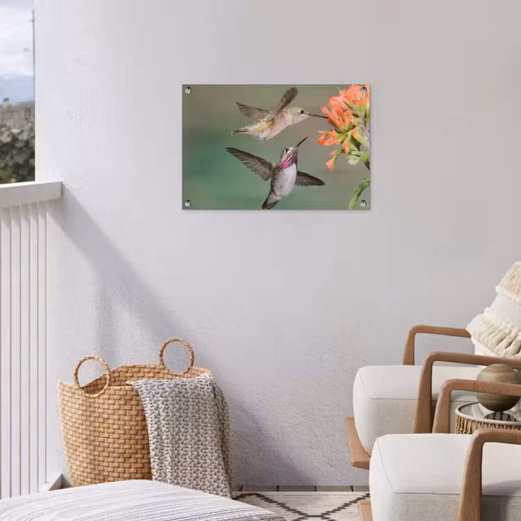 Tuinposter - Kolibries bij Bloemen — 3