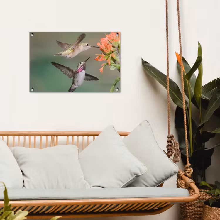 Tuinposter - Kolibries bij Bloemen — 5