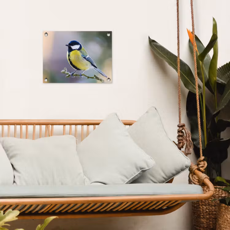 Tuinposter - Koolmees op een Tak — 5