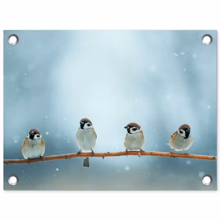 Tuinposter - Mussen in de Sneeuw — 1