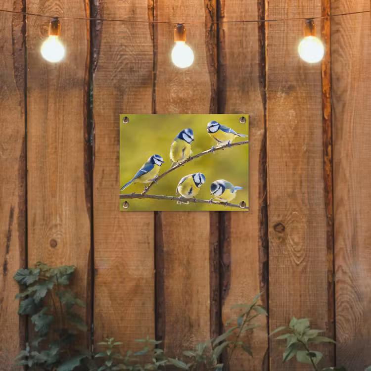 Tuinposter - Vijf Koolmezen op een Tak — 2