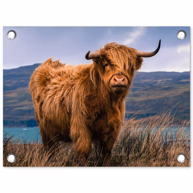 Tuinposter - Hooglander bij het Meer — 1