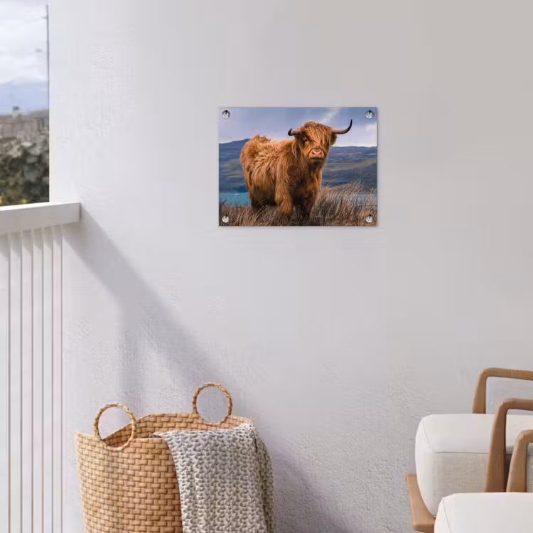 Tuinposter - Hooglander bij het Meer — 3