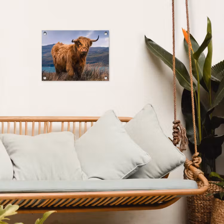 Tuinposter - Hooglander bij het Meer — 5
