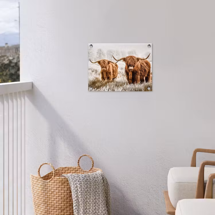 Tuinposter - Twee Hooglanders in de Winter — 3