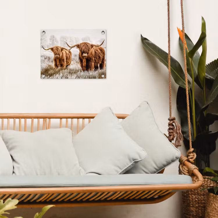 Tuinposter - Twee Hooglanders in de Winter — 5
