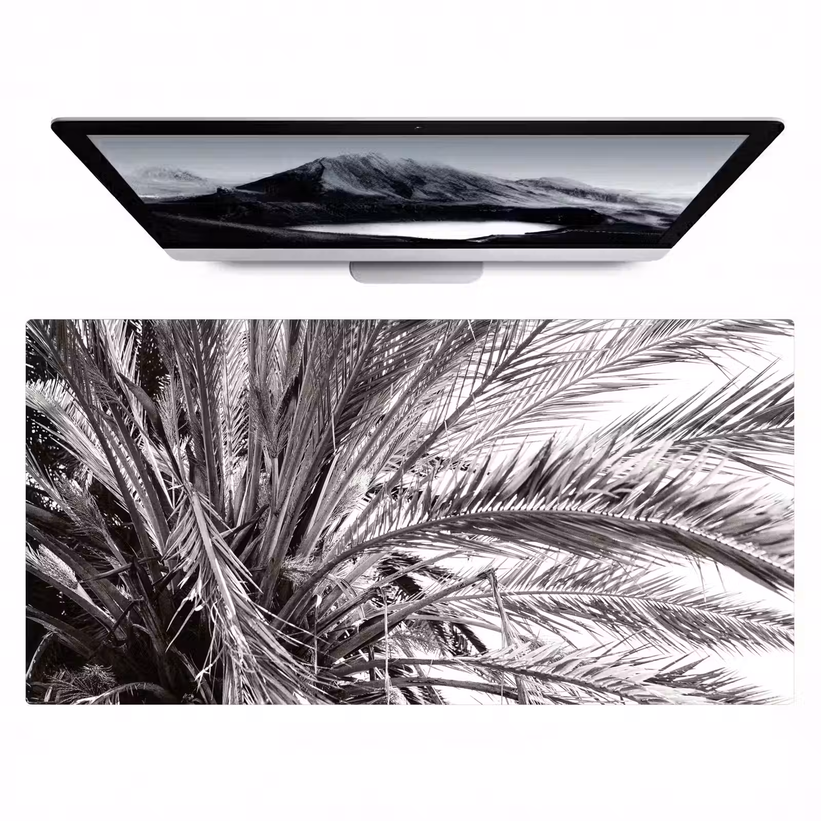 Bureau onderlegger - palmboom-tropisch-zwart-wit — 1