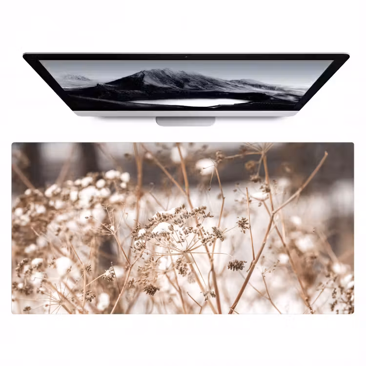 Bureau onderlegger - droogbloemen-wit-planten — 1