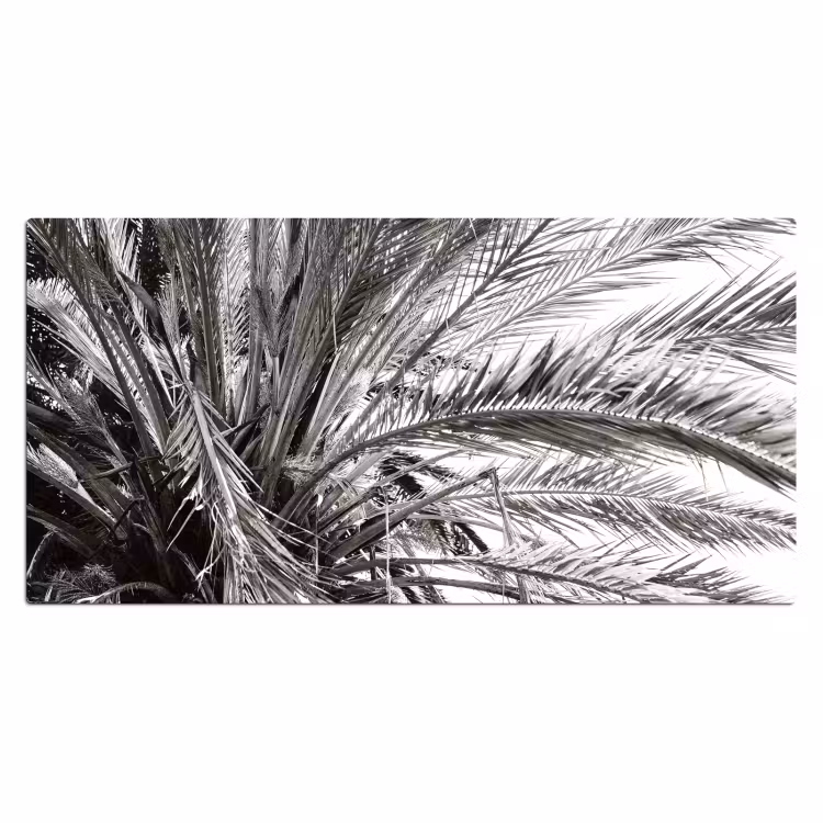 Bureau onderlegger - palmboom-tropisch-zwart-wit — 2