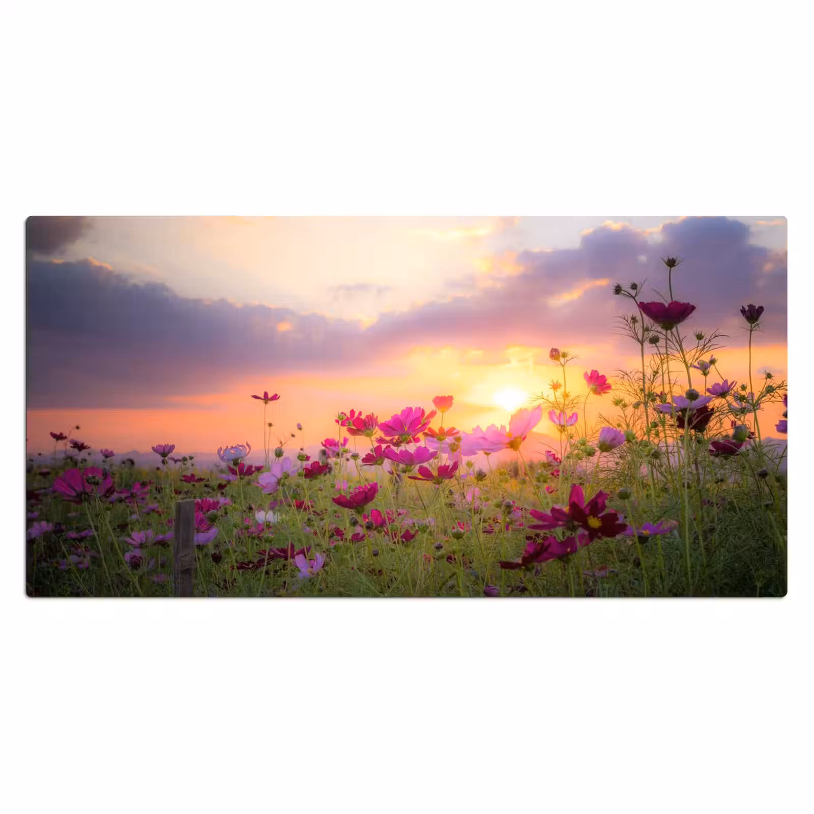 Bureau onderlegger - bloemen-roze-zonsondergang-natuur-weide-horizon — 1