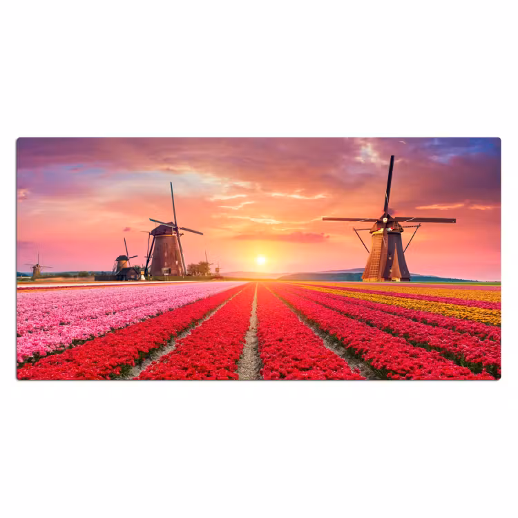 Bureau onderlegger - bloemen-tulpen-bloemenveld-molens-holland — 1