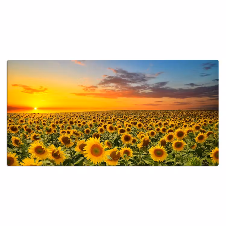 Bureau onderlegger - bloemen-zonnebloem-zonsondergang-nacht-oranje — 1