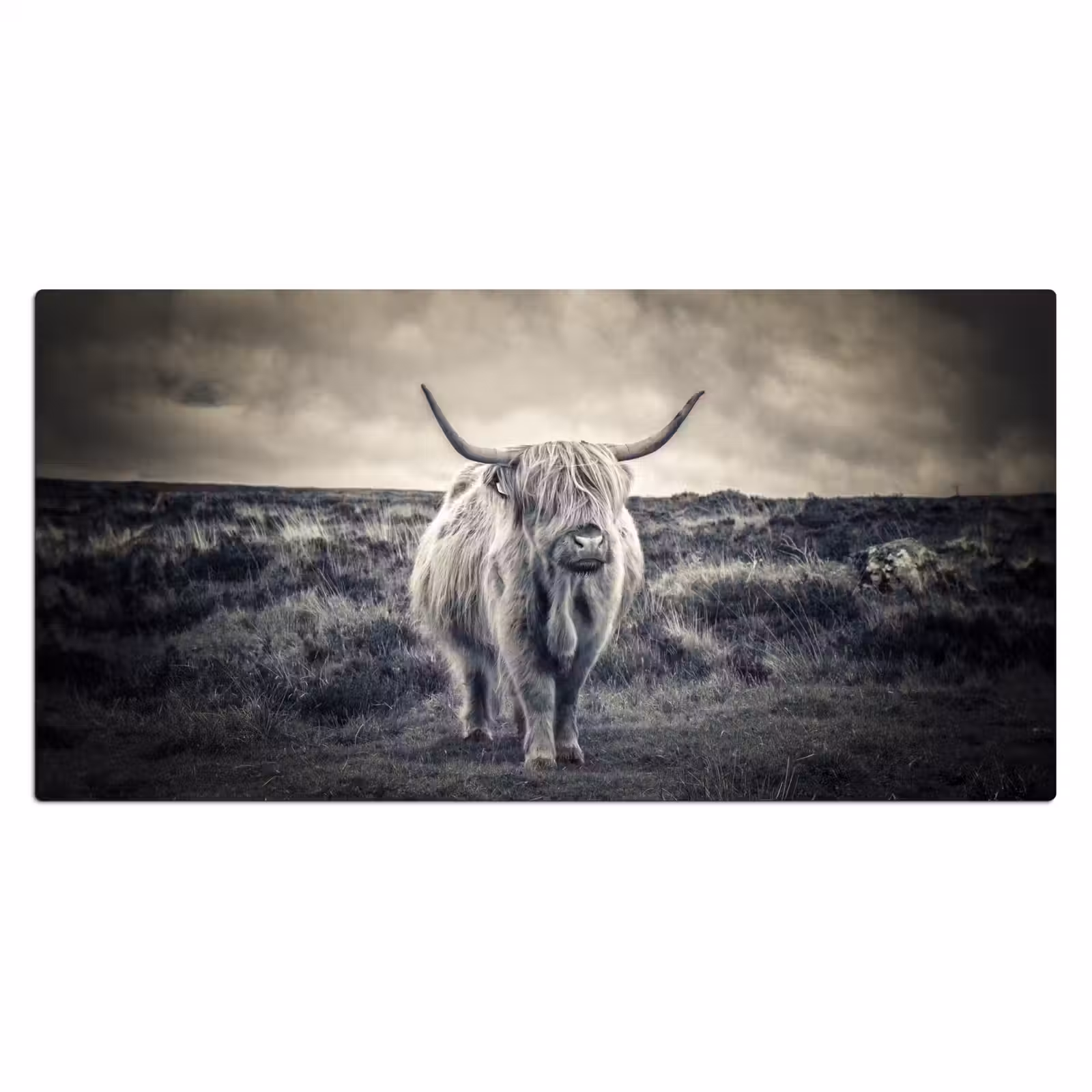 Bureau onderlegger - Schotse hooglander - Dieren - Wolken - Koe - Natuur — 1