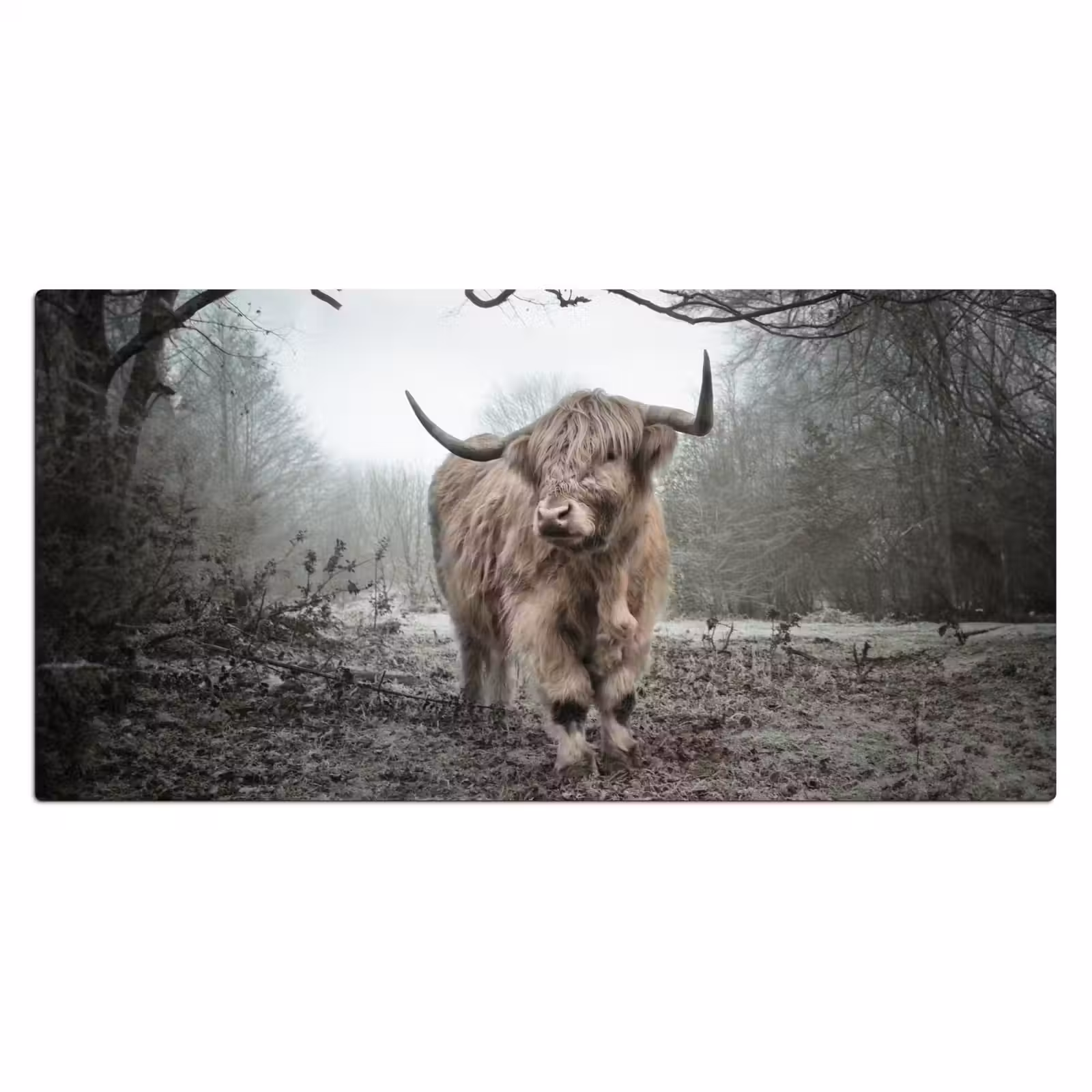 Bureau onderlegger - Schotse hooglander - Natuur - Herfst - Dieren - Wild - Bos — 1