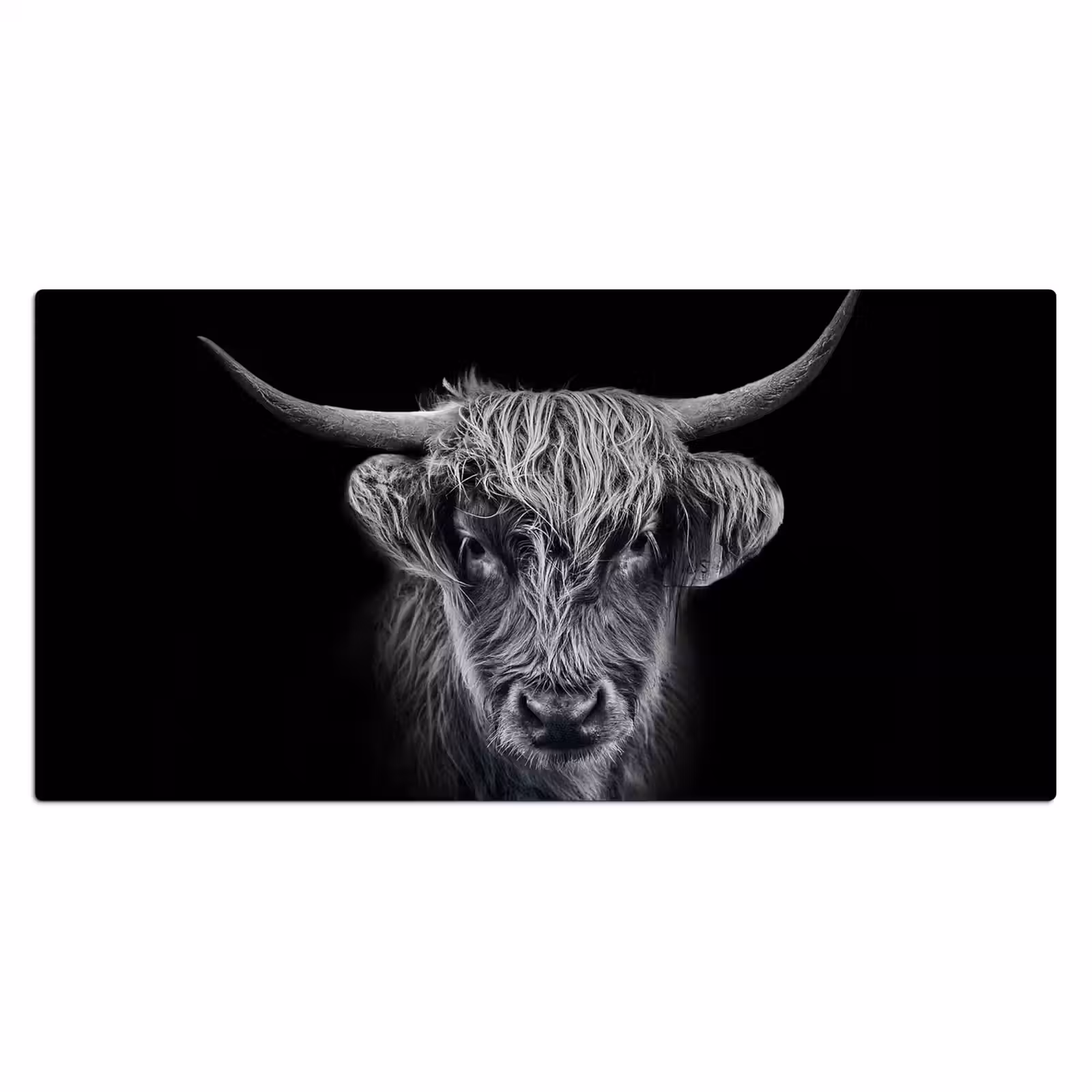 Bureau onderlegger - Schotse hooglander - Zwart - Koe - Dieren — 1