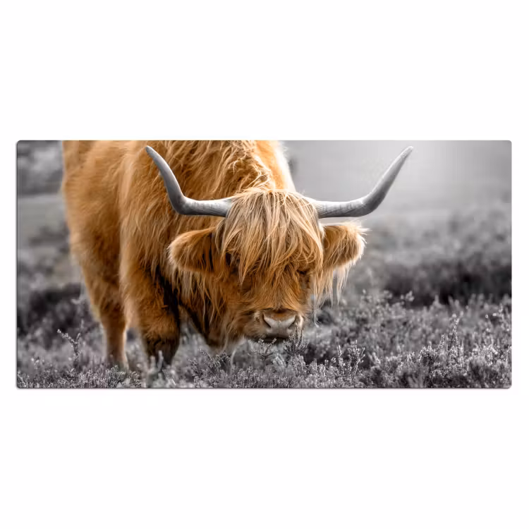 Bureau onderlegger - Schotse Hooglander - Dieren - Bruin - Koe - Zwart - Wit - Natuur — 1