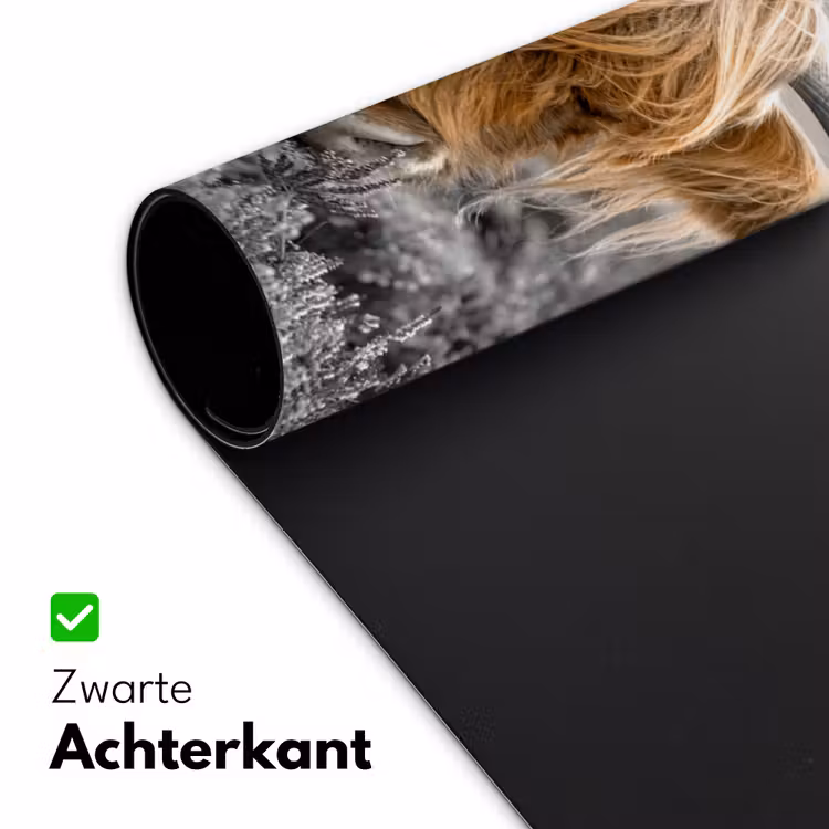 Bureau onderlegger - Schotse Hooglander - Dieren - Bruin - Koe - Zwart - Wit - Natuur — 4