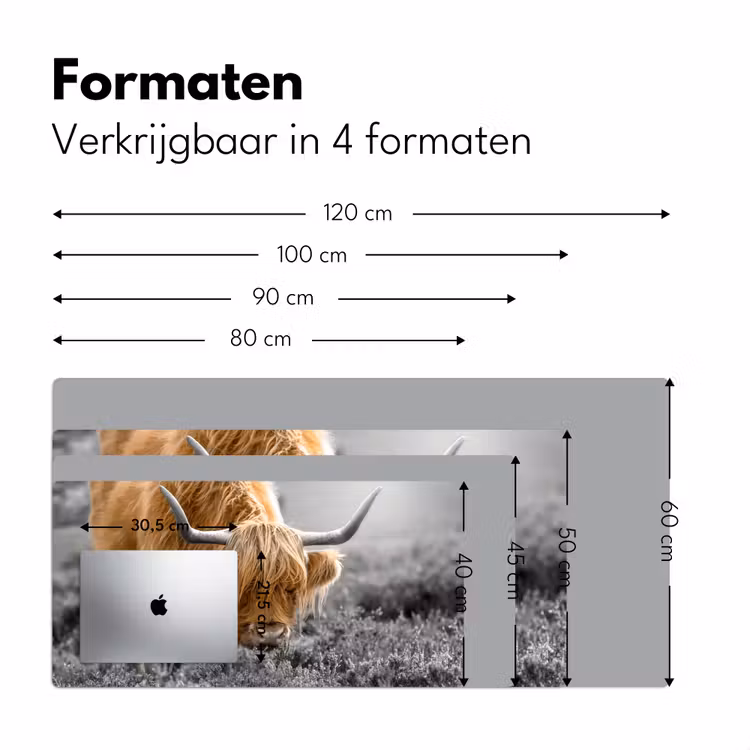 Bureau onderlegger - Schotse Hooglander - Dieren - Bruin - Koe - Zwart - Wit - Natuur — 7