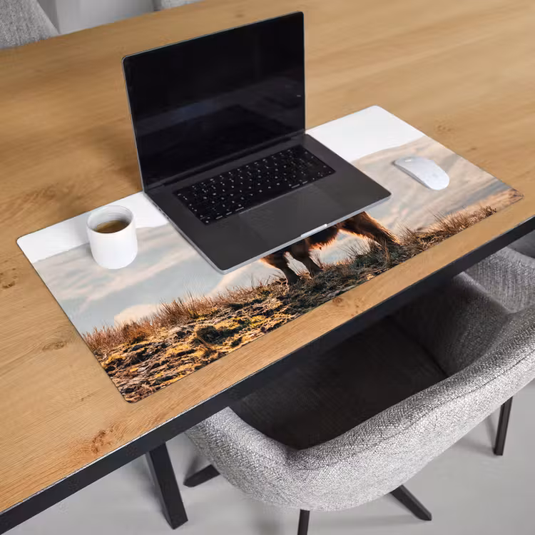 Bureau onderlegger - Schotse hooglander - Dieren - Landelijk - Landschap - Koe - Natuur — 2