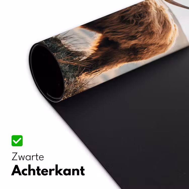 Bureau onderlegger - Schotse hooglander - Dieren - Landelijk - Landschap - Koe - Natuur — 4
