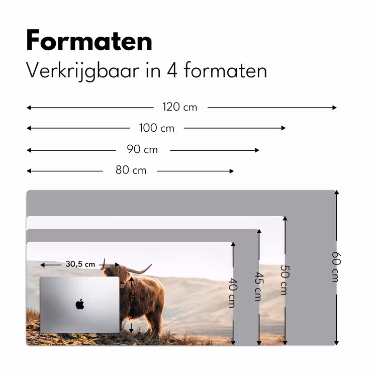 Bureau onderlegger - Schotse hooglander - Dieren - Landelijk - Landschap - Koe - Natuur — 7