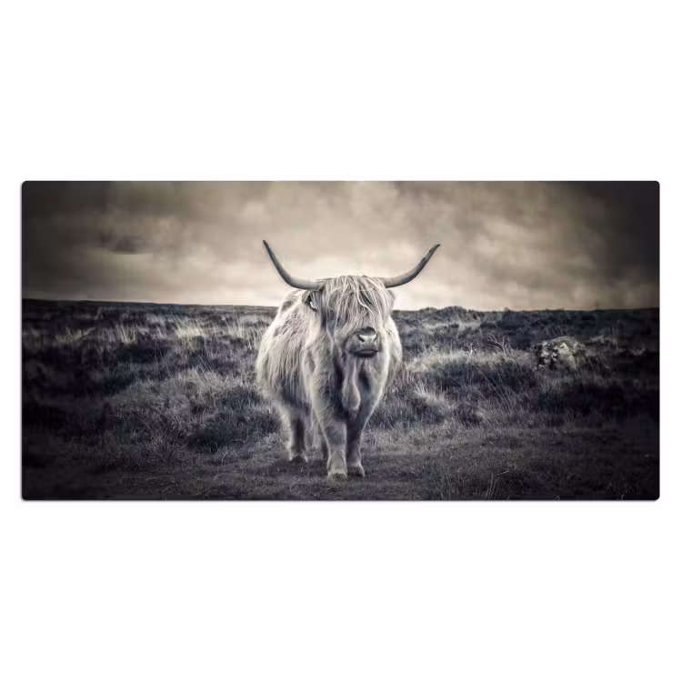 Bureau onderlegger - Schotse hooglander - Dieren - Wolken - Koe - Natuur — 1