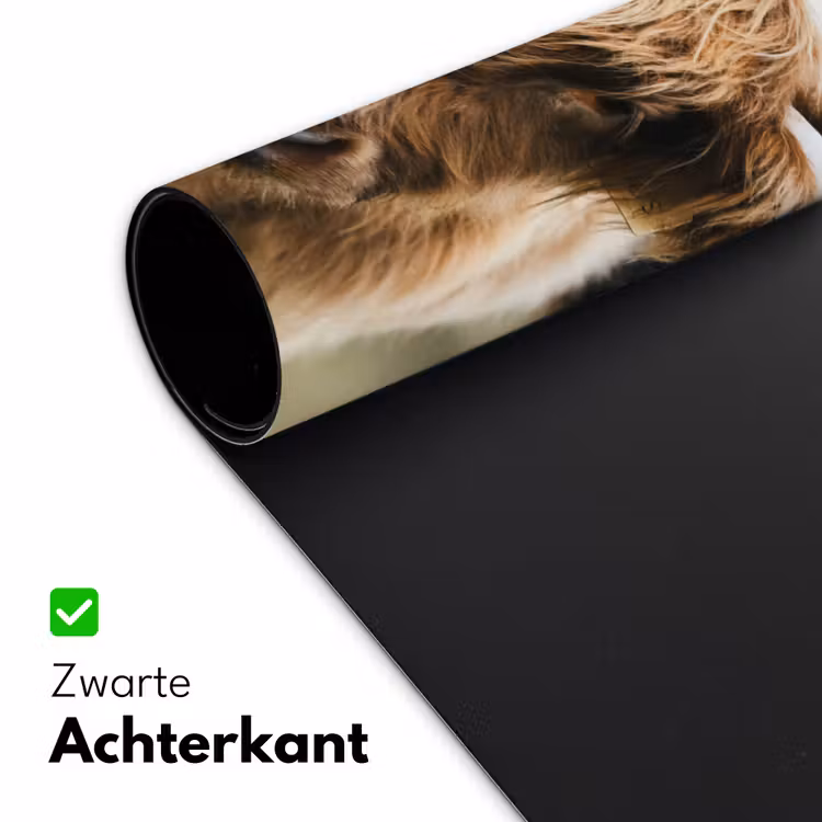 Bureau onderlegger - Schotse Hooglander - Koe - Gras - Dieren - Natuur — 4