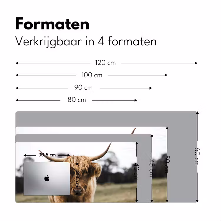 Bureau onderlegger - Schotse Hooglander - Koe - Gras - Dieren - Natuur — 7