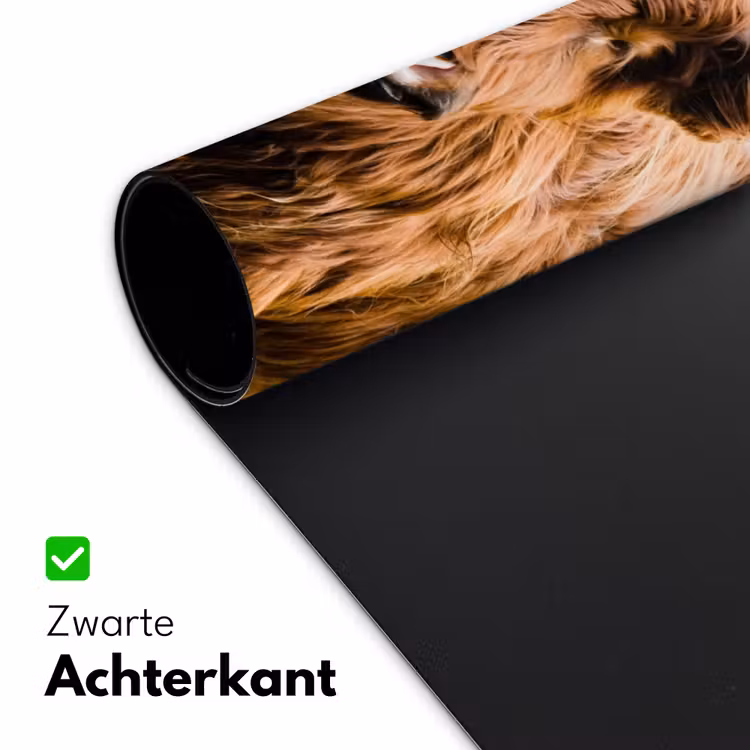 Bureau onderlegger - Schotse hooglander - Landschap - Koe - Bruin - Dieren - Natuur — 4