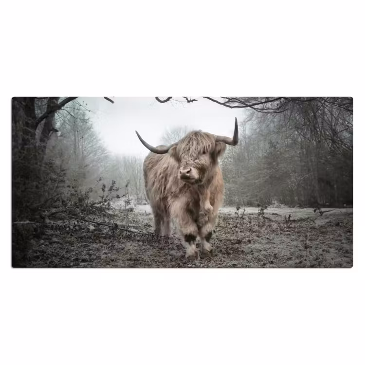 Bureau onderlegger - Schotse hooglander - Natuur - Herfst - Dieren - Wild - Bos — 1