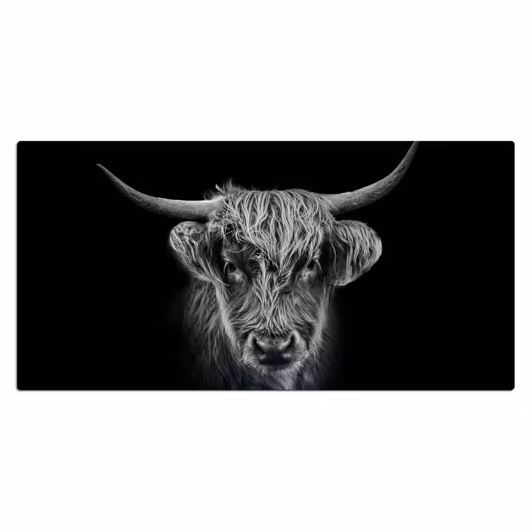 Bureau onderlegger - Schotse hooglander - Zwart - Koe - Dieren — 1