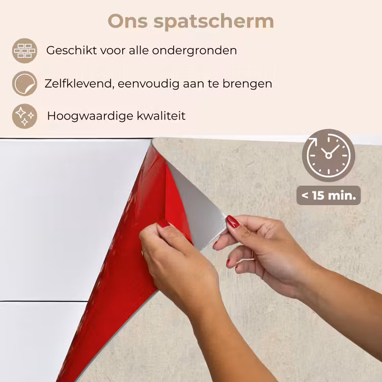 Spatscherm keuken - Het puttertje - Carel Fabritius — 3
