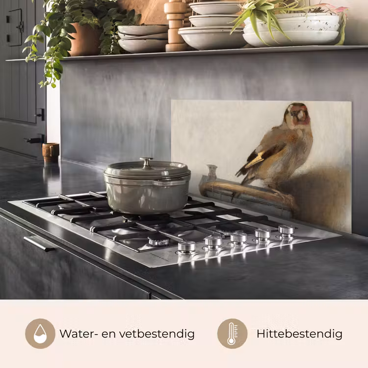 Spatscherm keuken - Het puttertje - Carel Fabritius — 6