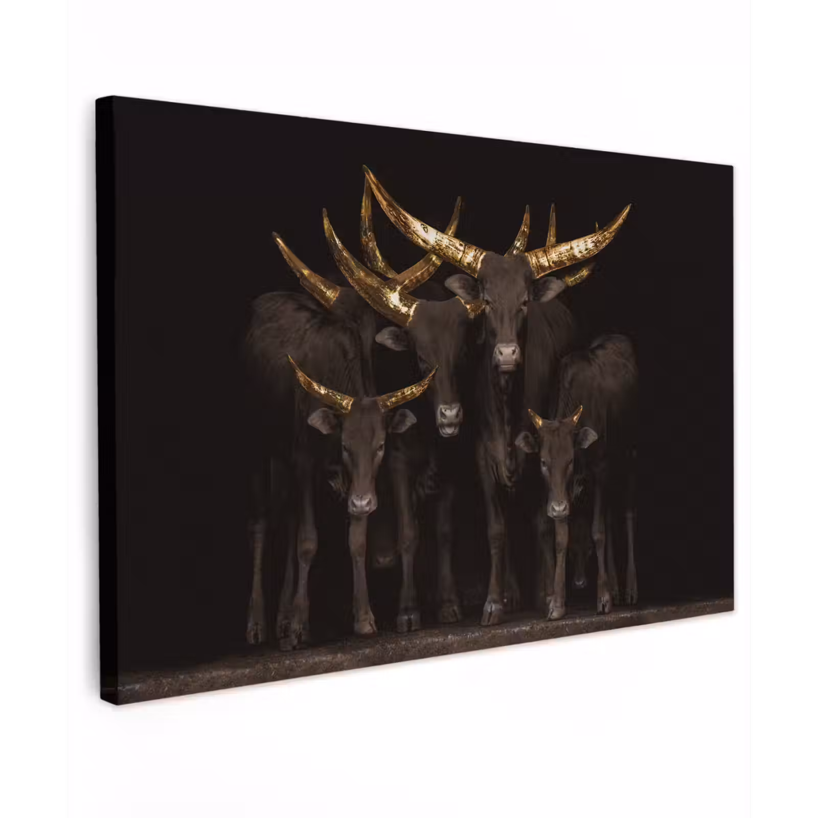 Canvas schilderij - Koeien - Horens - Goud — 1