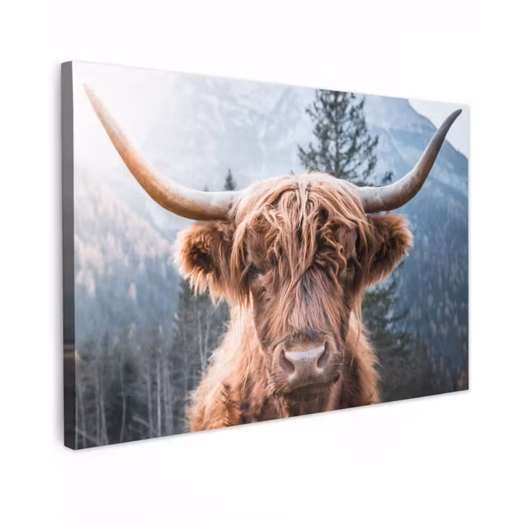 Canvas schilderij - Schotse hooglander - Bergen - Portret — 1