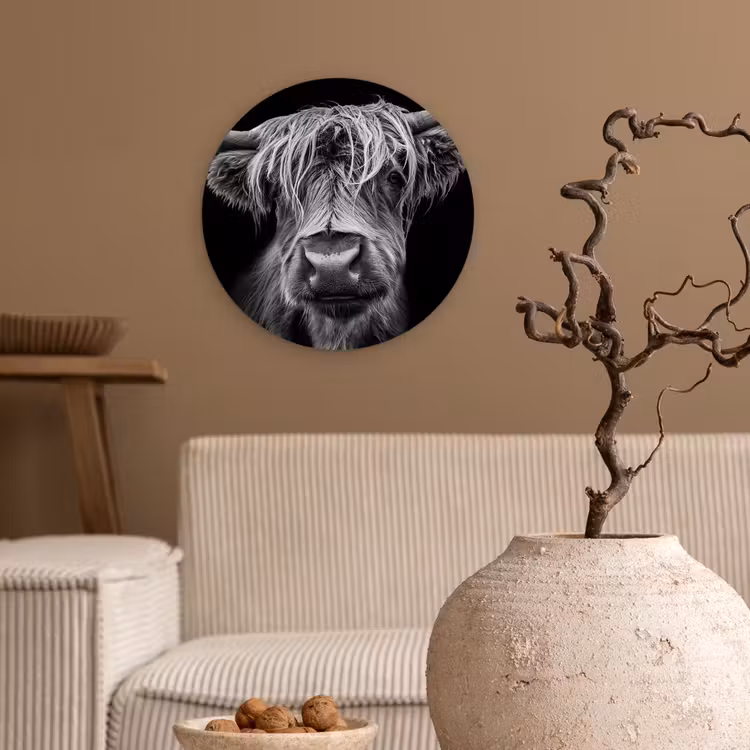 Muurcirkel - Schotse Hooglander - Horens - Zwart - Wit - Koe - Wild - Dieren — 2