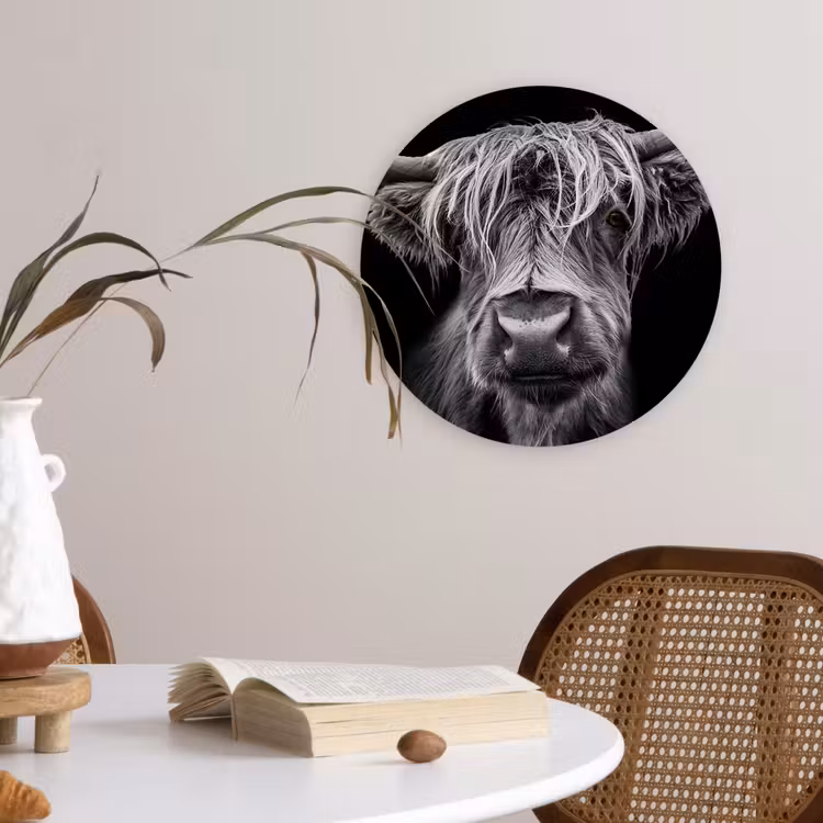 Muurcirkel - Schotse Hooglander - Horens - Zwart - Wit - Koe - Wild - Dieren — 4