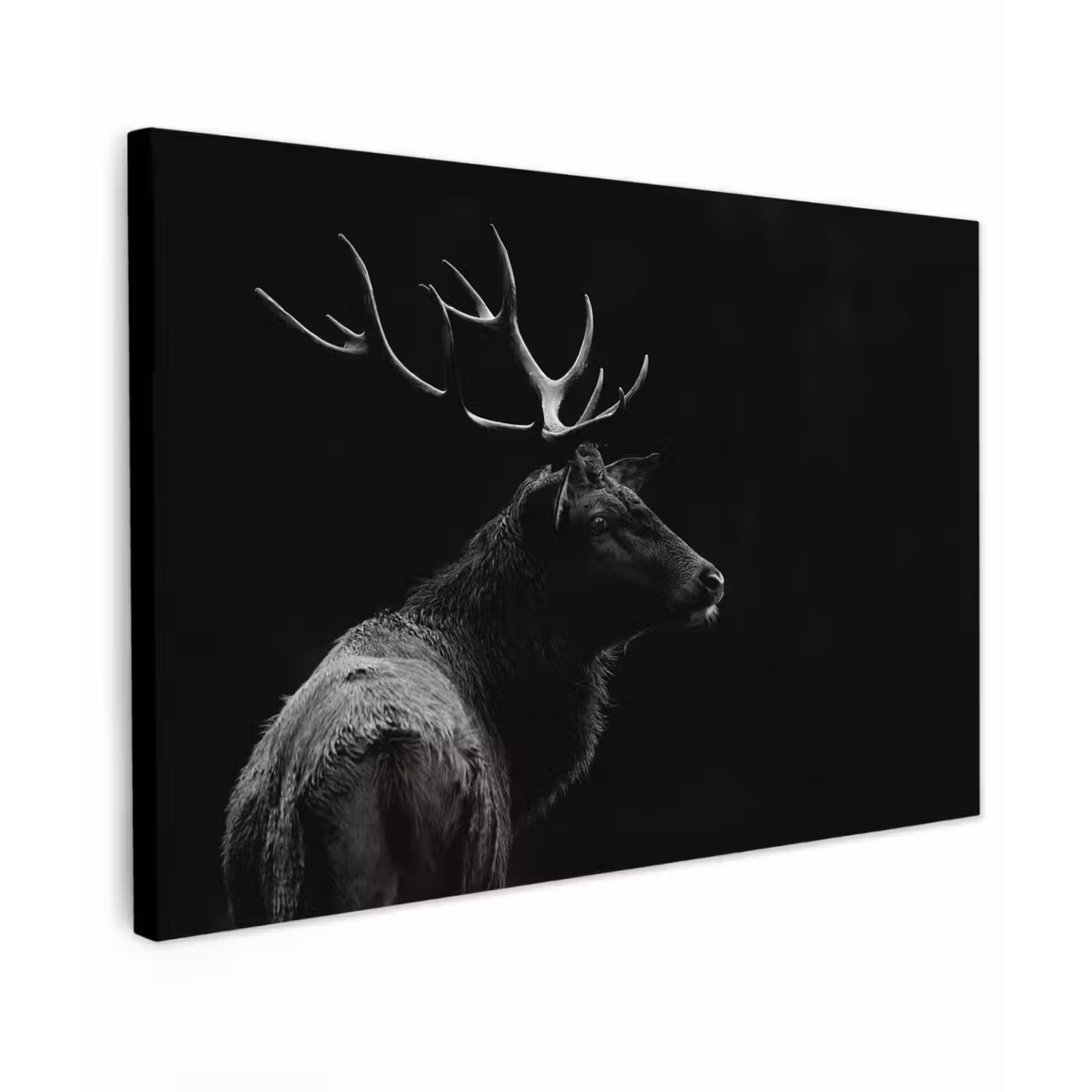 Canvas schilderij - Hert - Zwart - Wit - Gewei — 1