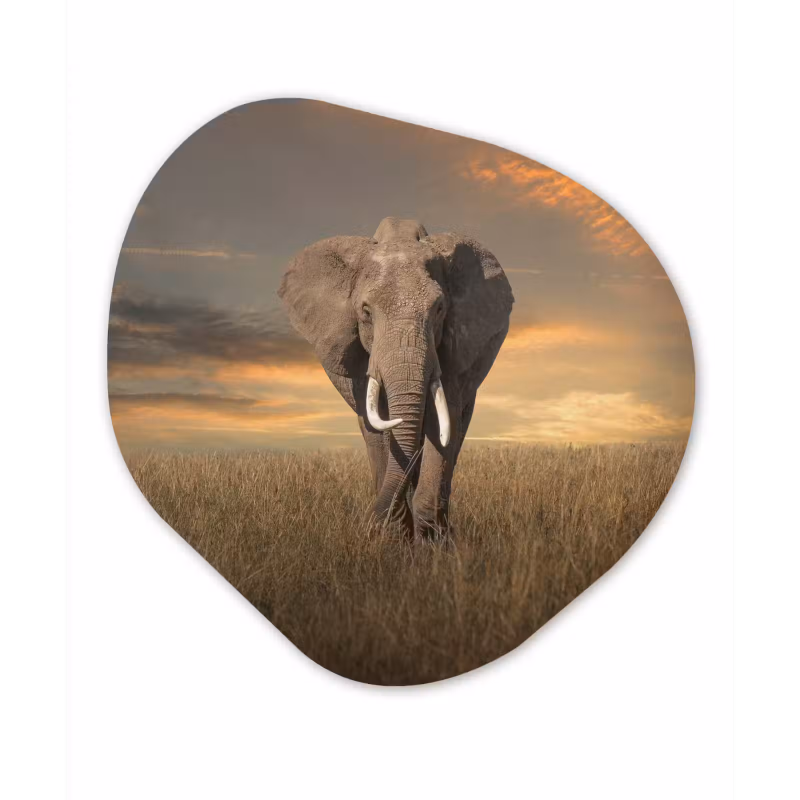 Organische Formen – Aluminium – Olifant - Dieren - Gras - Natuur — 1