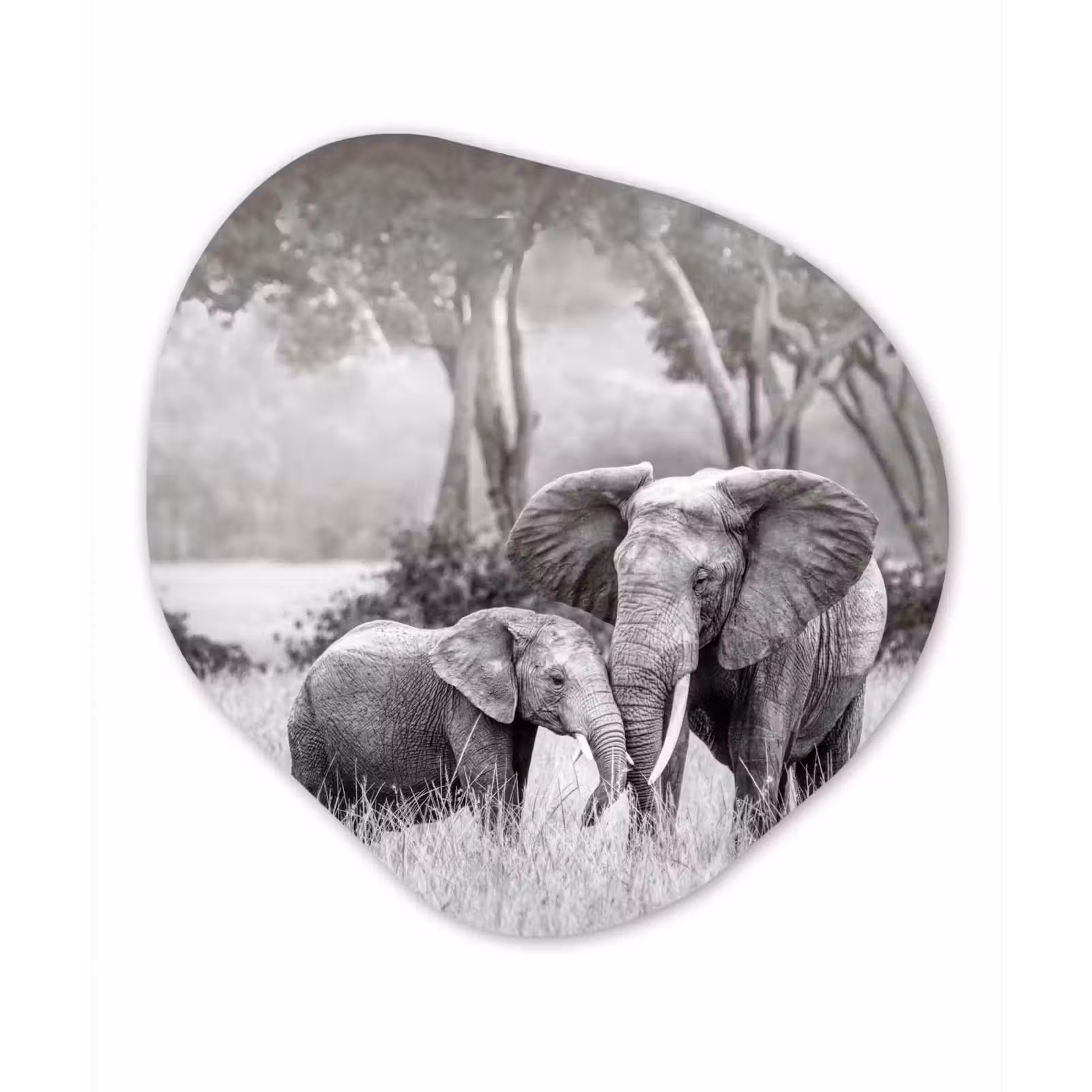 Organische Formen – Aluminium – Olifant - Dieren - Natuur - Zwart wit — 1