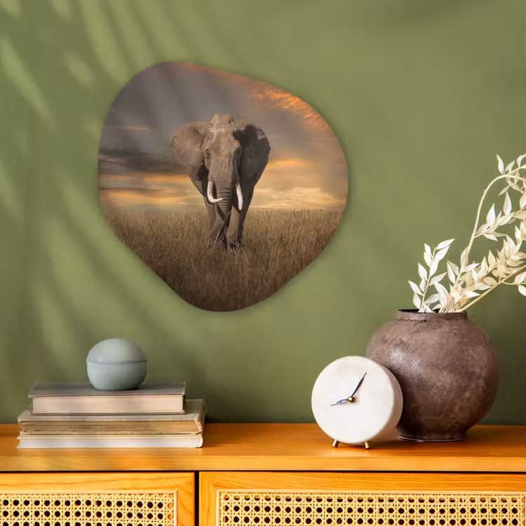 Organische Formen – Aluminium – Olifant - Dieren - Gras - Natuur — 2