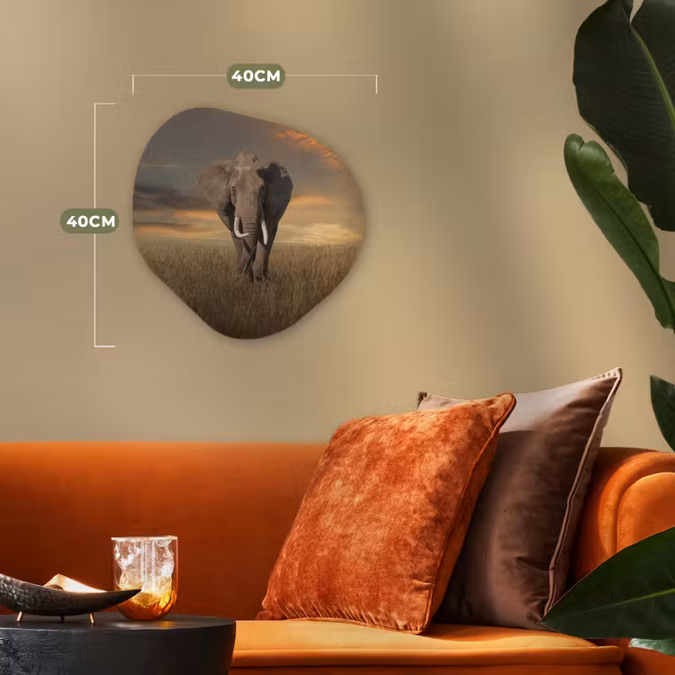 Organische Formen – Aluminium – Olifant - Dieren - Gras - Natuur — 4