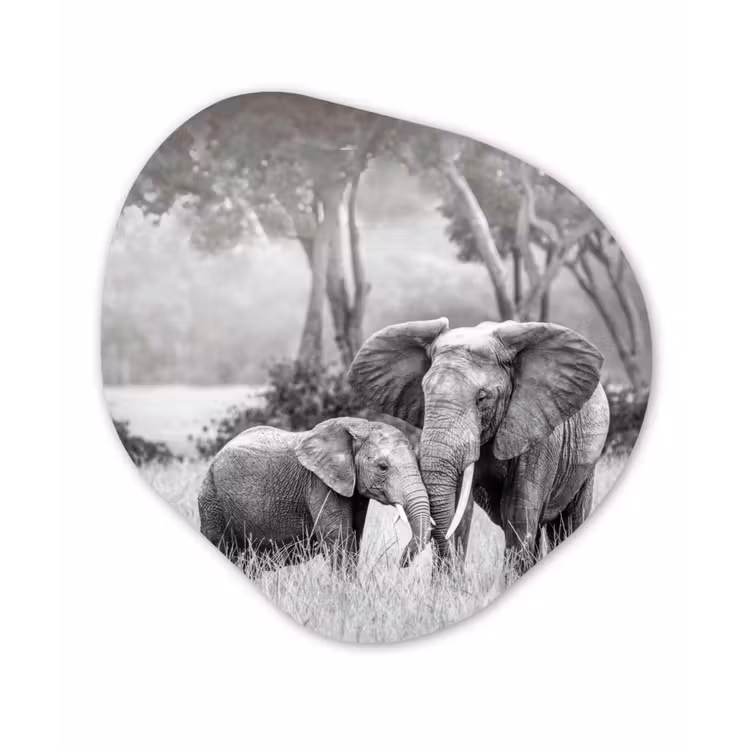 Organische Formen – Aluminium – Olifant - Dieren - Natuur - Zwart wit — 1