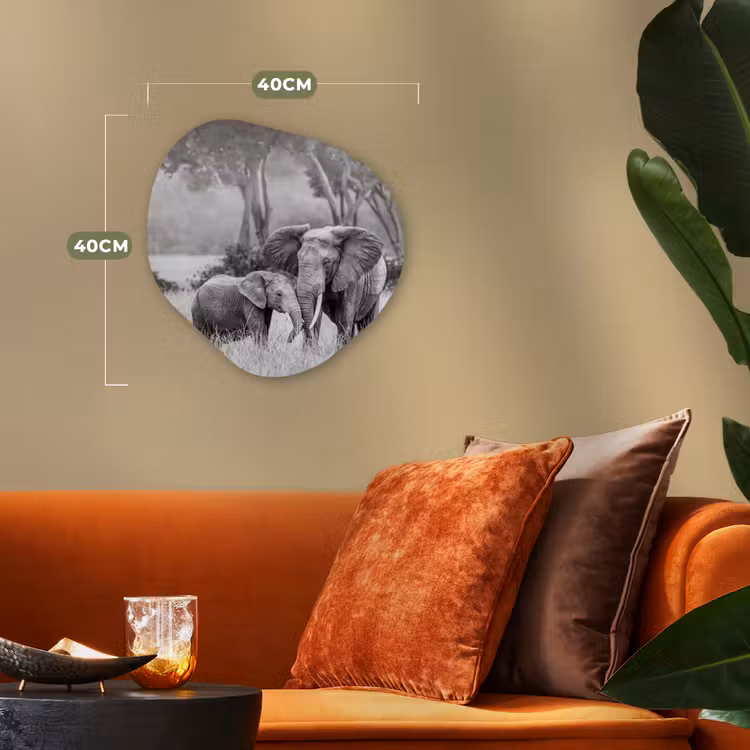 Organische Formen – Aluminium – Olifant - Dieren - Natuur - Zwart wit — 4