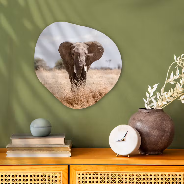 Organische Formen – Aluminium – Olifant - Natuur - Dieren - Portret — 2