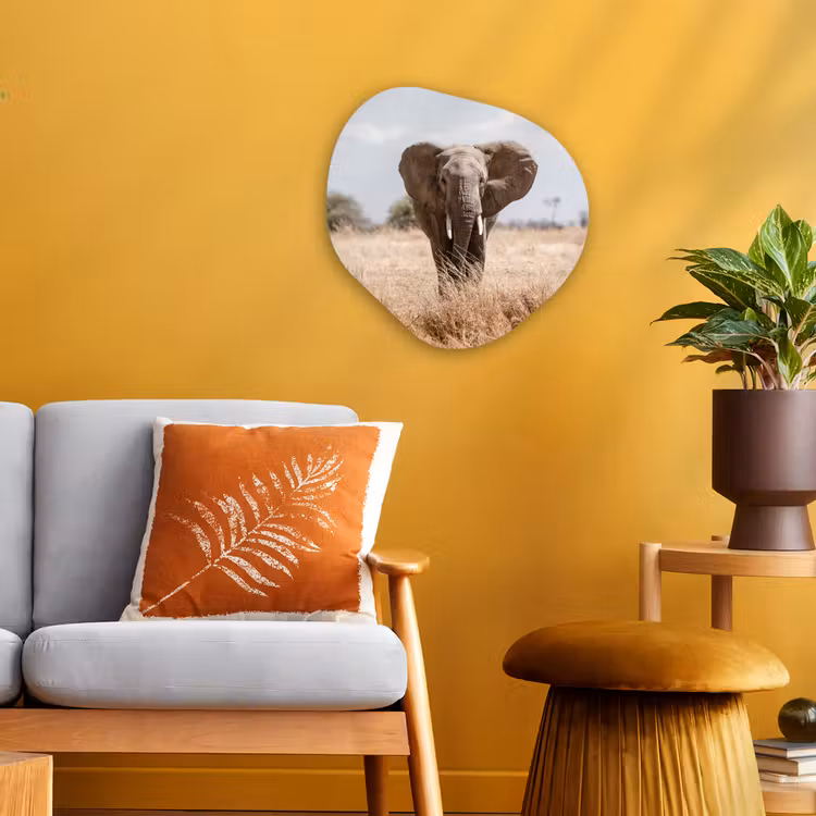 Organische Formen – Aluminium – Olifant - Natuur - Dieren - Portret — 3