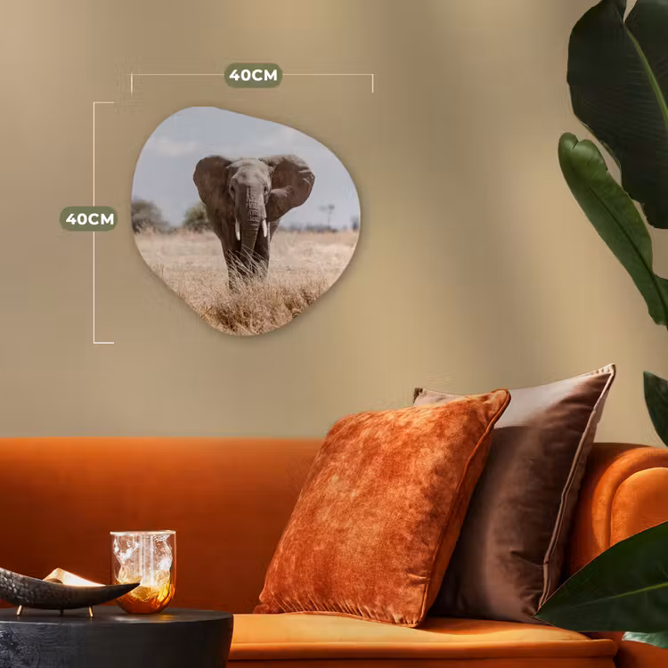 Organische Formen – Aluminium – Olifant - Natuur - Dieren - Portret — 4