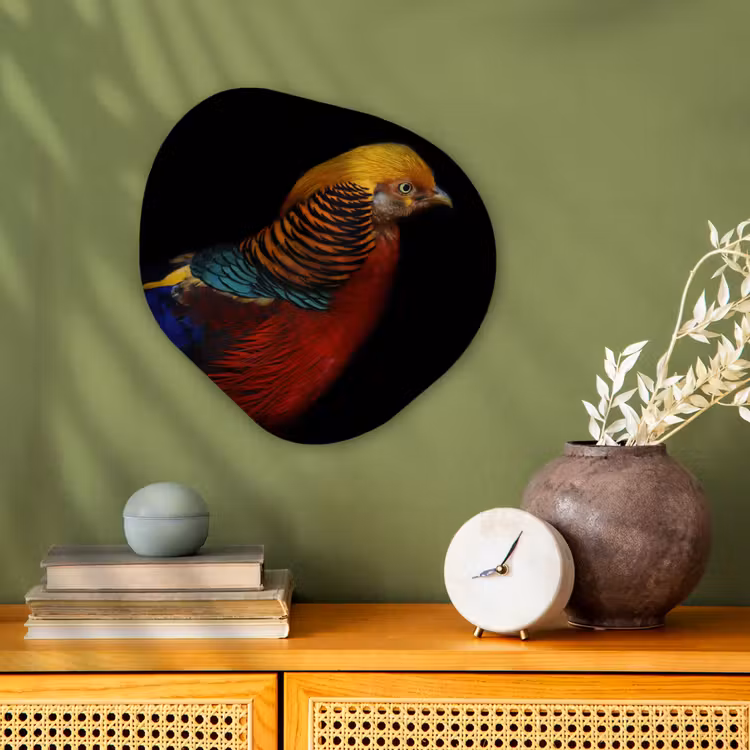 Organische Formen – Aluminium – Vogel - Veren - Zwart - Portret — 2