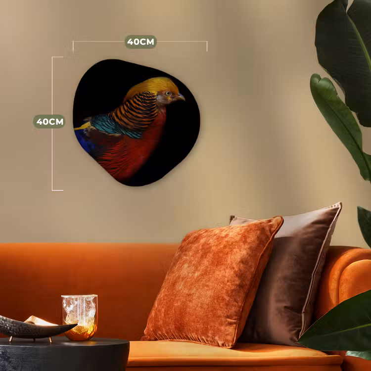 Organische Formen – Aluminium – Vogel - Veren - Zwart - Portret — 4