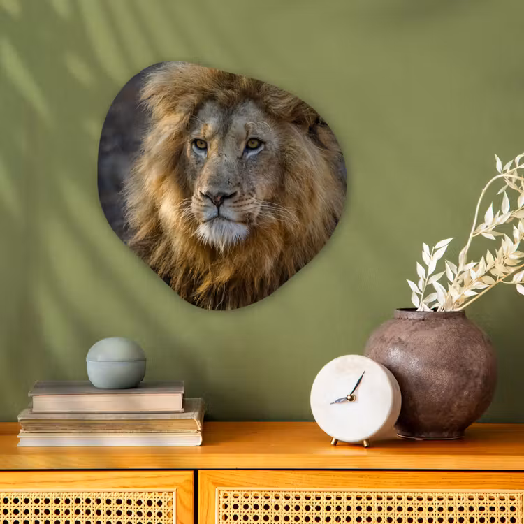 Organische Formen – Aluminium – Leeuw - Portret - Wild — 2